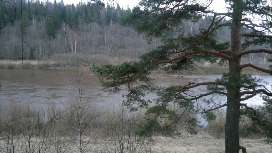 Печальная красота заброшенных усадеб Новгородской области