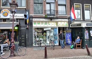 Власти Амстердама хотят закрыть для туристов кофешопы