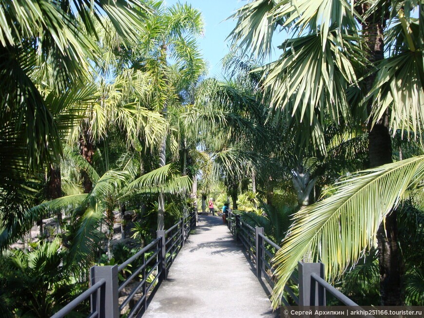 Парк Нонг Нуч — образец тропического рая в Паттайи