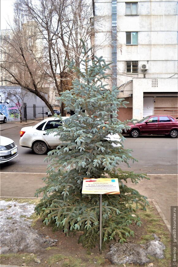 Важно находить счастье и красоту даже в тяжёлые времена