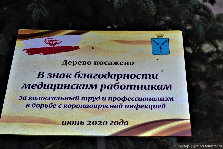 Важно находить счастье и красоту даже в тяжёлые времена