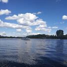 Озеро Орловское в Новокуйбышевске