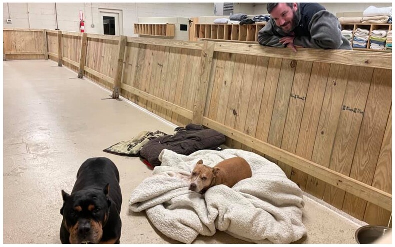 Бездомный, рискуя жизнью, вынес всех животных из охваченного огнем приюта: среди спасенных собак оказался его единственный друг