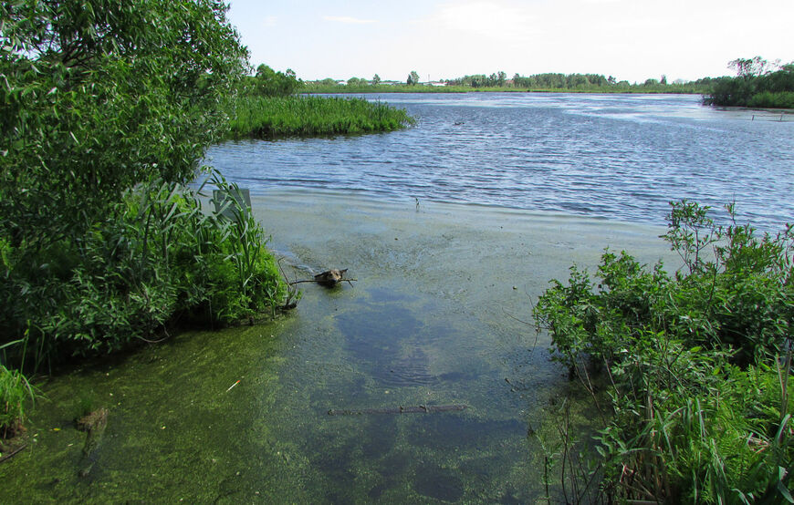 Озеро Киово (Киёво)
