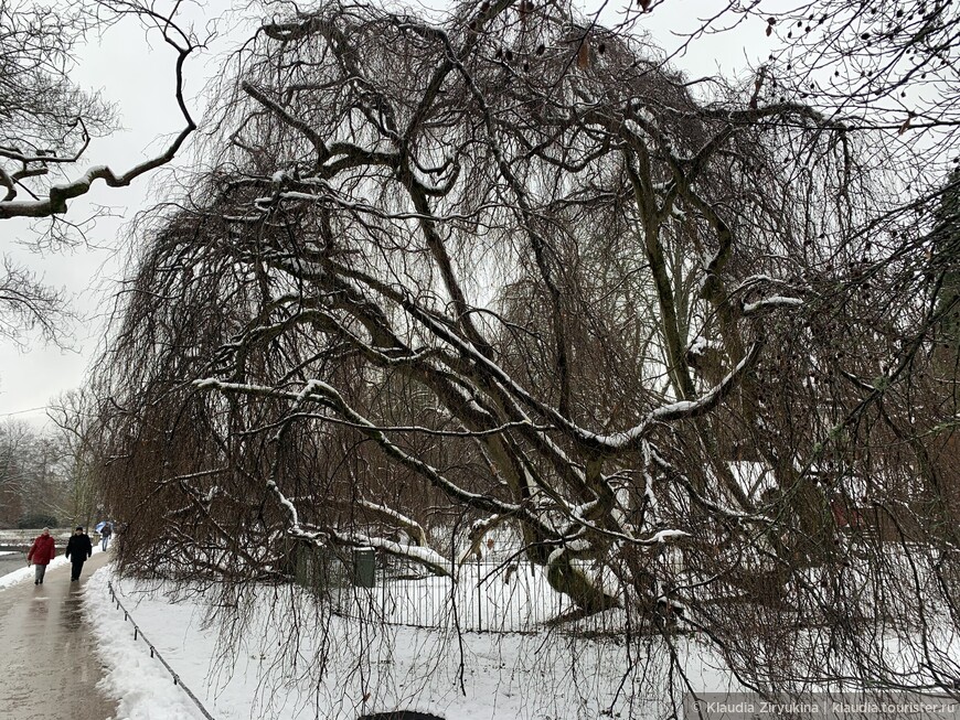 Сибирская зима в самом русском городе Германии. Старый Город