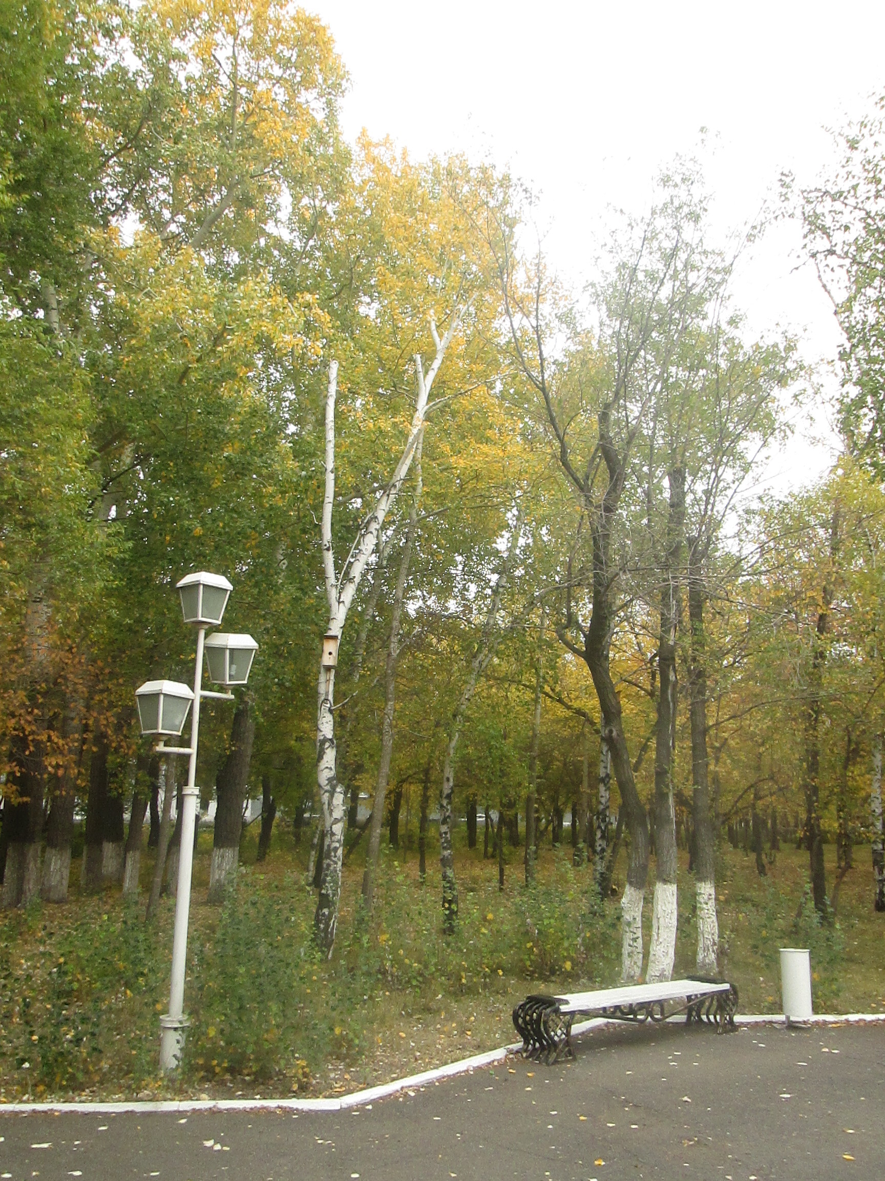 Центральный парк караганды