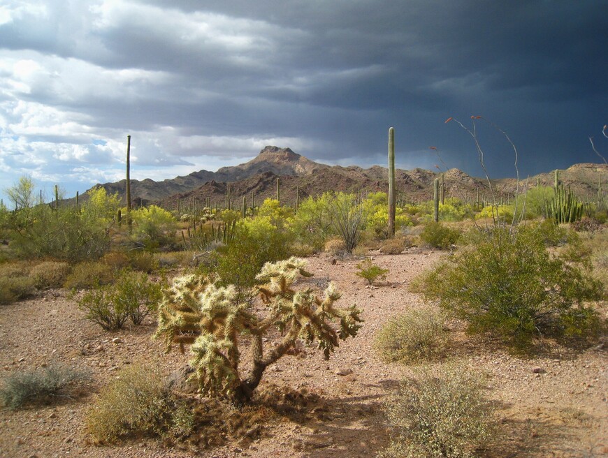 Красивые и необычные чудеса природы, Аризона, 10 часть