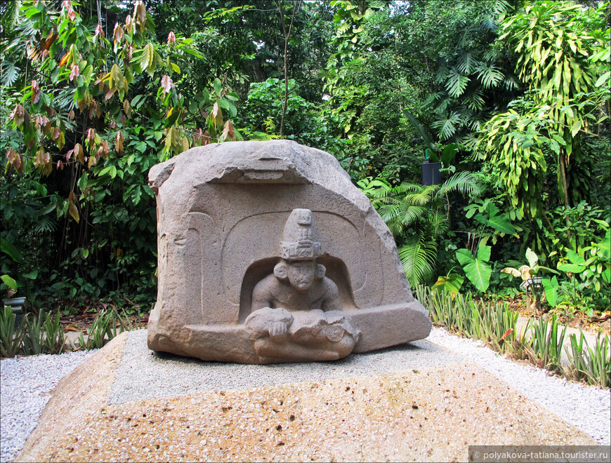 О древней цивилизации ольмеков и парке Ла-Вента