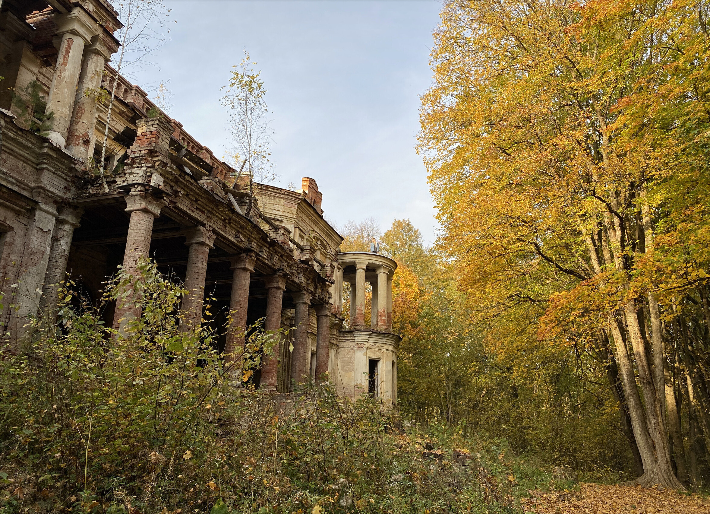 Павлищев бор карта