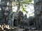 По великим храмам Ангкора — храм Та Пром (12 века), поглощенный джунглями