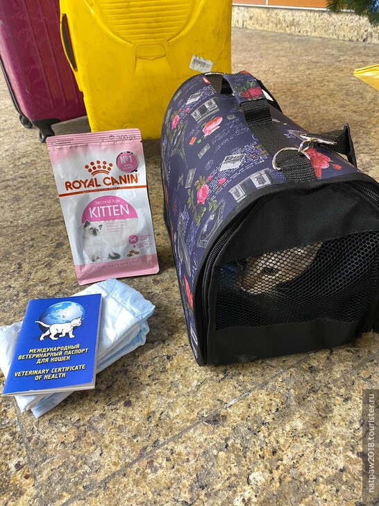 Перед перевозкой в Дубай животное должно быть доставлено за 4 часа до рейса. Наш любимчик прибыл со всеми документами и полным набором необходимых вещей.)))