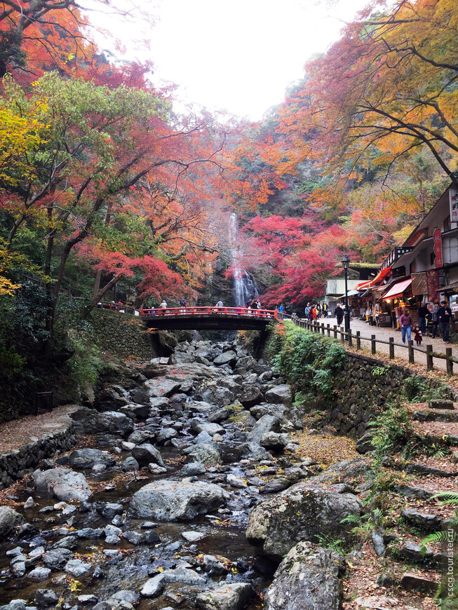 10-ый день в Японии. Осака. Храм Кацуо-дзи, водопад Мино, инсектарий