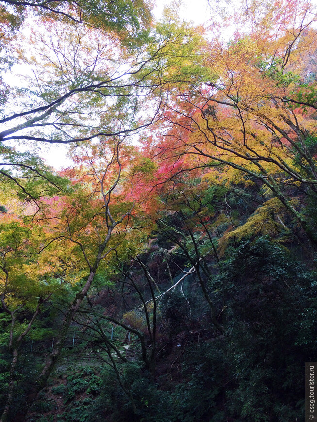 10-ый день в Японии. Осака. Храм Кацуо-дзи, водопад Мино, инсектарий