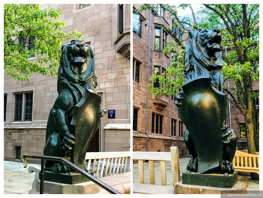 Вместо портрета короля Георга - скульптуры Йельских львов