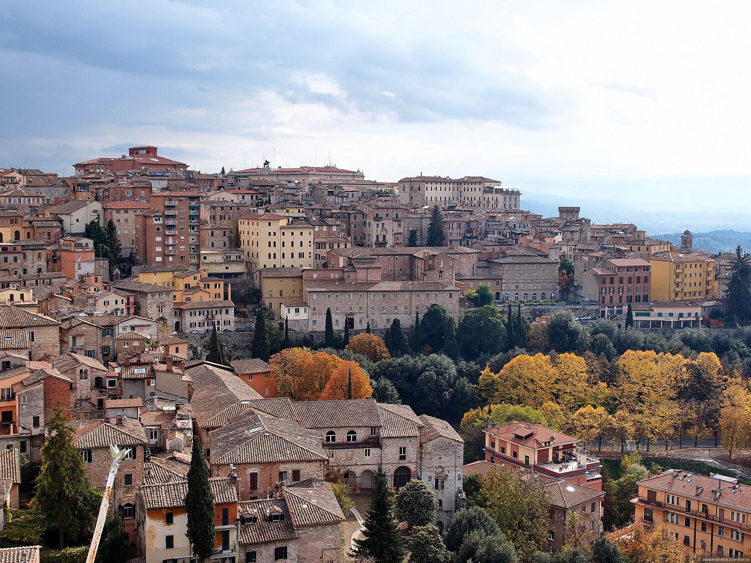Trans Perugia