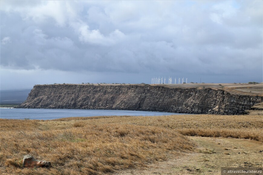 Фото 72. Ветряные турбины на берегу