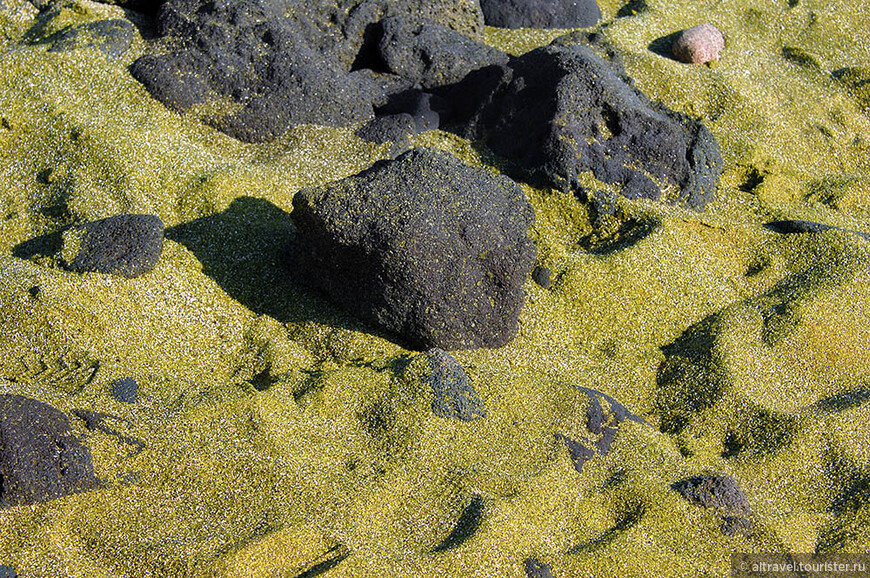 Фото 74-75. На Papakōlea Beach песок иногда действительно выглядит зеленым. Источник: img.travelawaits.com