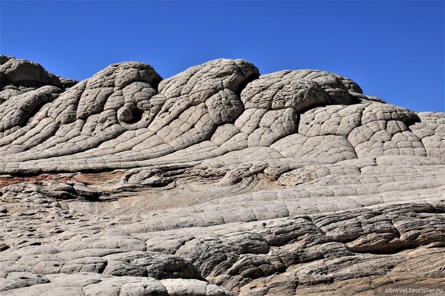 Багряные скалы (Vermilion Cliffs National Monument) — часть 1: Белый карман