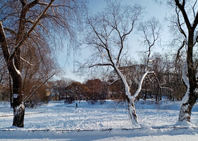 Санкт-Петербург. Наша разная зима. 2. «Все в сад!»