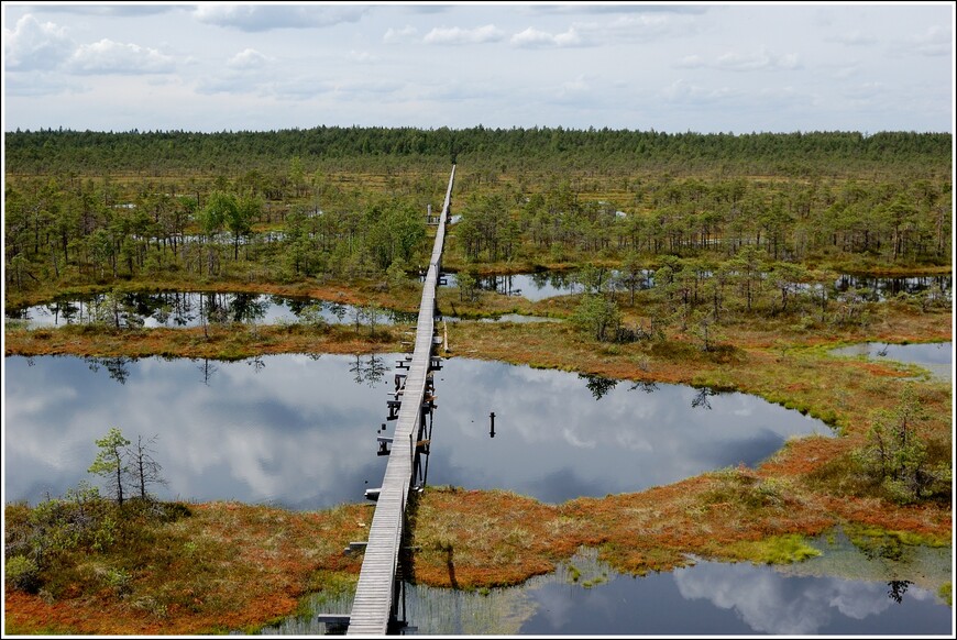 Самое живописное эстонское болото