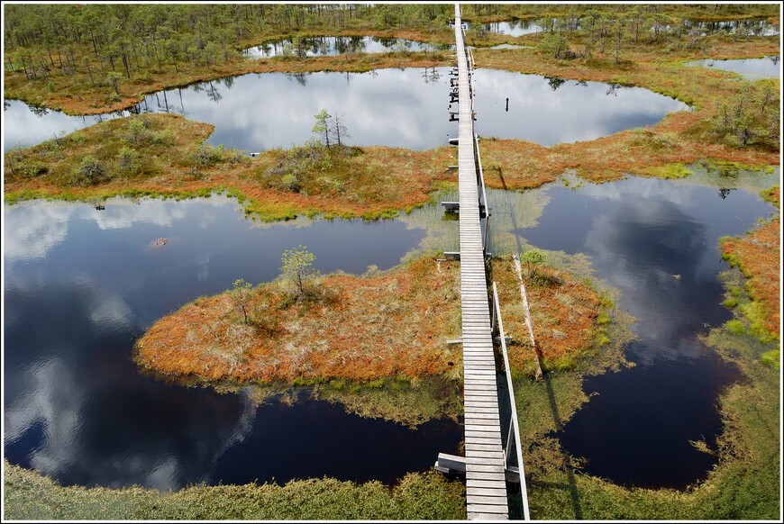 Самое живописное эстонское болото