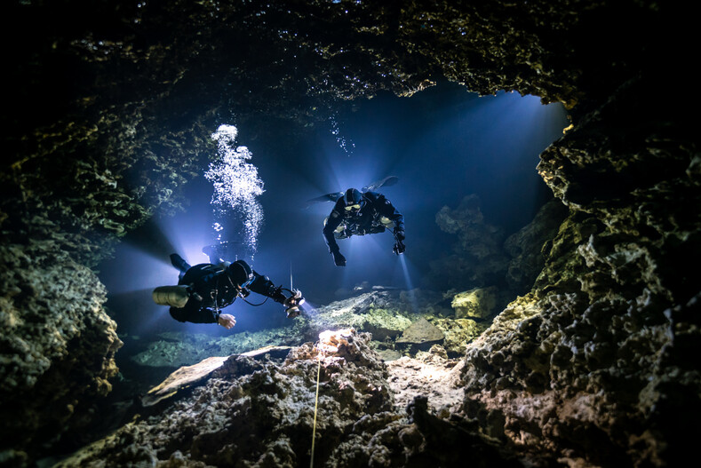 Выбраны лучшие подводные фото 2021: чарующие снимки о тайнах глубин, от которых захватывает дух (победители и призеры «Underwater Photographer of the Year»)
