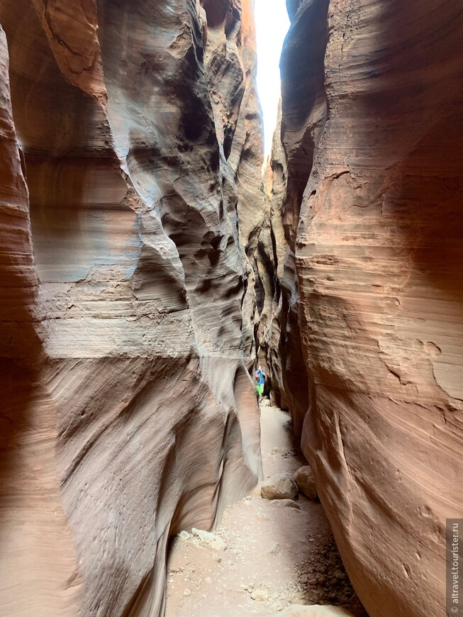 Багряные скалы (Vermilion Cliffs National Monument) — часть 3: Оленье ущелье