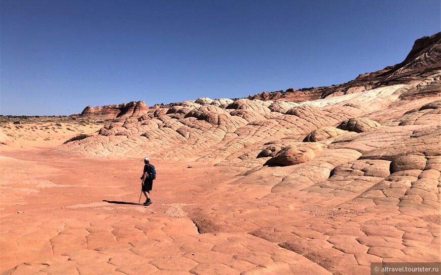 Багряные скалы (Vermilion Cliffs National Monument) — часть 3: Оленье ущелье