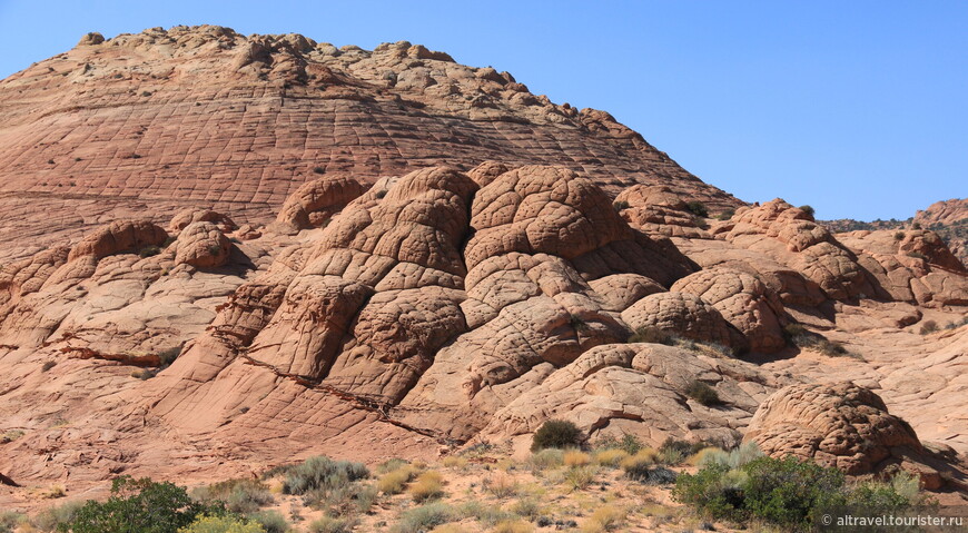 Багряные скалы (Vermilion Cliffs National Monument) — часть 3: Оленье ущелье