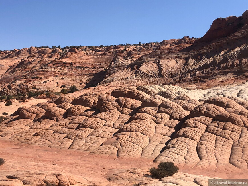 Багряные скалы (Vermilion Cliffs National Monument) — часть 3: Оленье ущелье