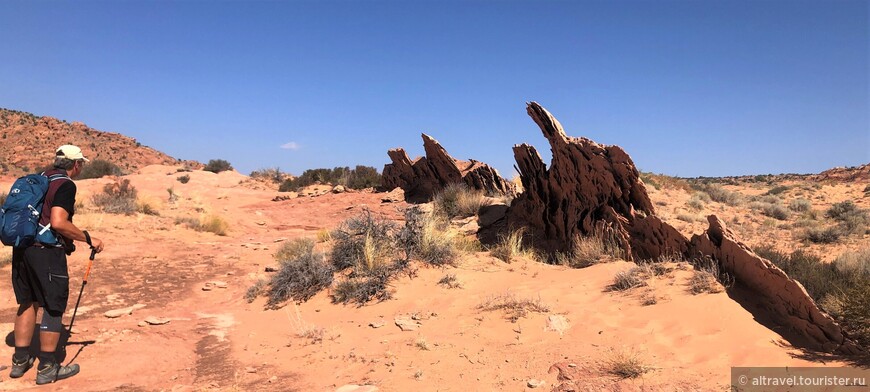 Багряные скалы (Vermilion Cliffs National Monument) — часть 3: Оленье ущелье