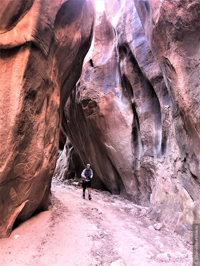 Багряные скалы (Vermilion Cliffs National Monument) — часть 3: Оленье ущелье