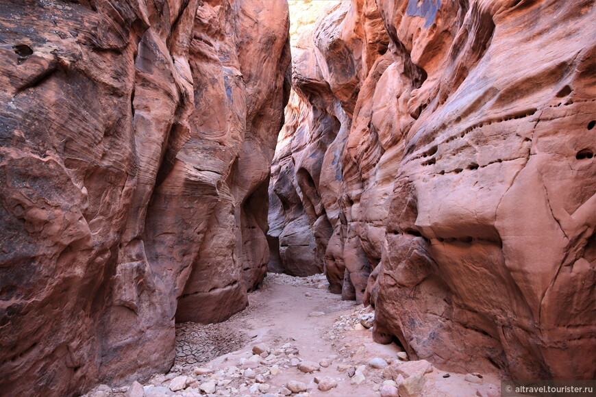 Багряные скалы (Vermilion Cliffs National Monument) — часть 3: Оленье ущелье