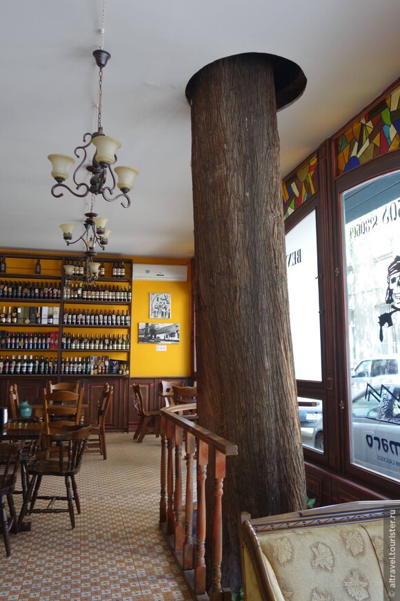Фото 41-42. Нам понравилось, как винный магазин-бар вписал в свое помещение старое можжевеловое дерево