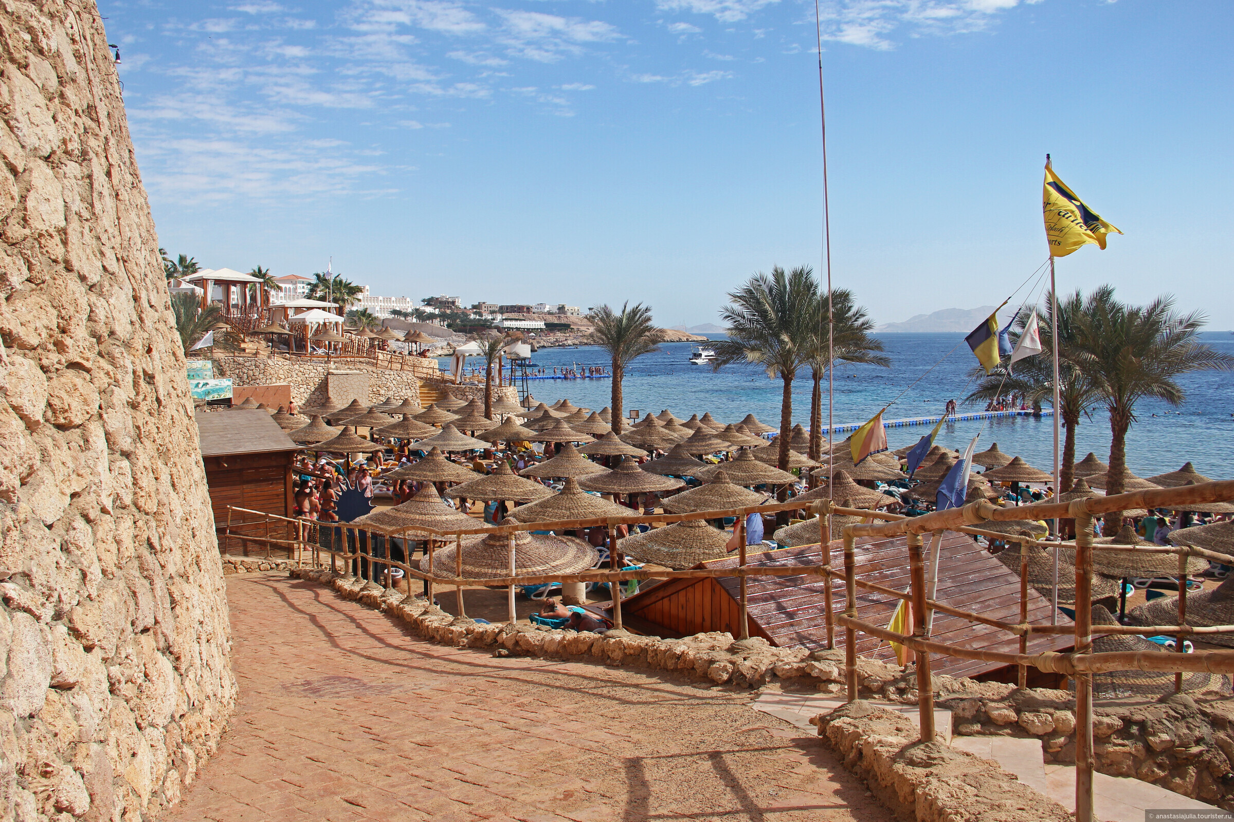 Отдых в египте красное море