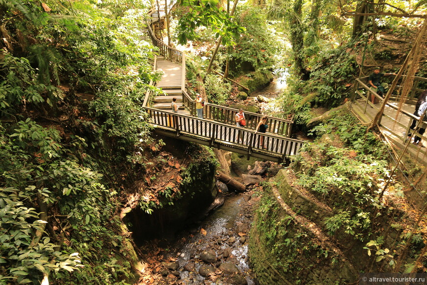 Фото 16-1 - 16-9. Мистический Обезьяний лес: джунгли, мостики, лестницы, храмы