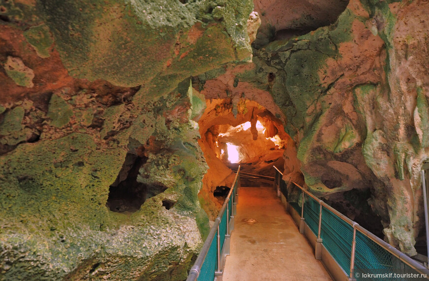 Пещера с евроремонтом, общежитие для игуан и прочие чудеса