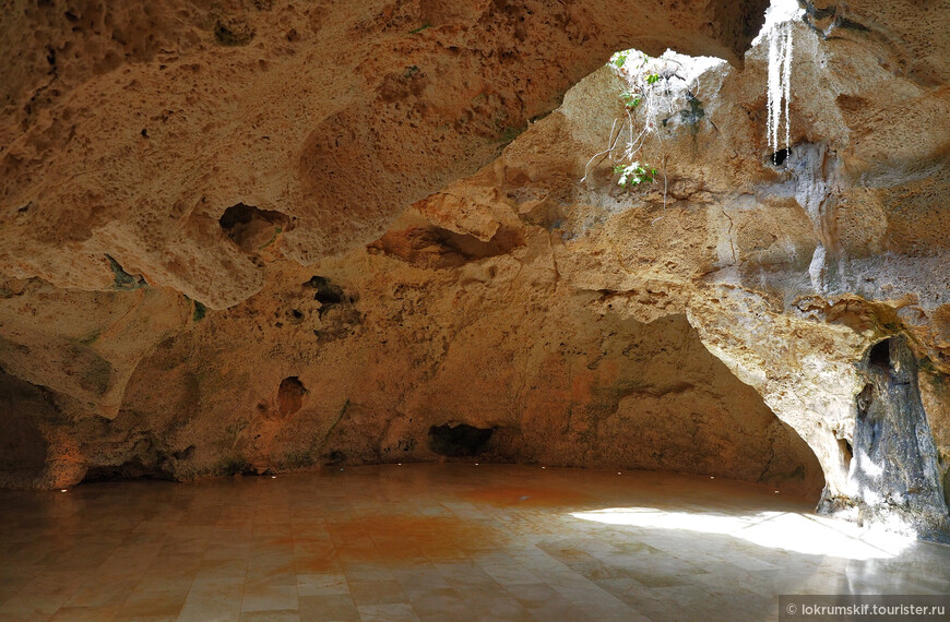 Пещера с евроремонтом, общежитие для игуан и прочие чудеса
