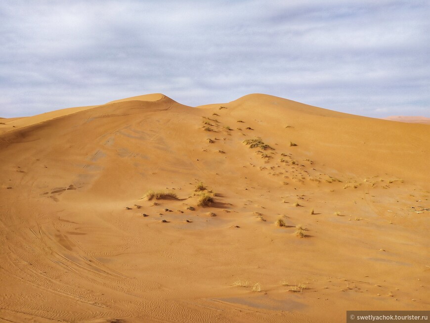 Возвращение в марокканскую пустыню спустя 4 года