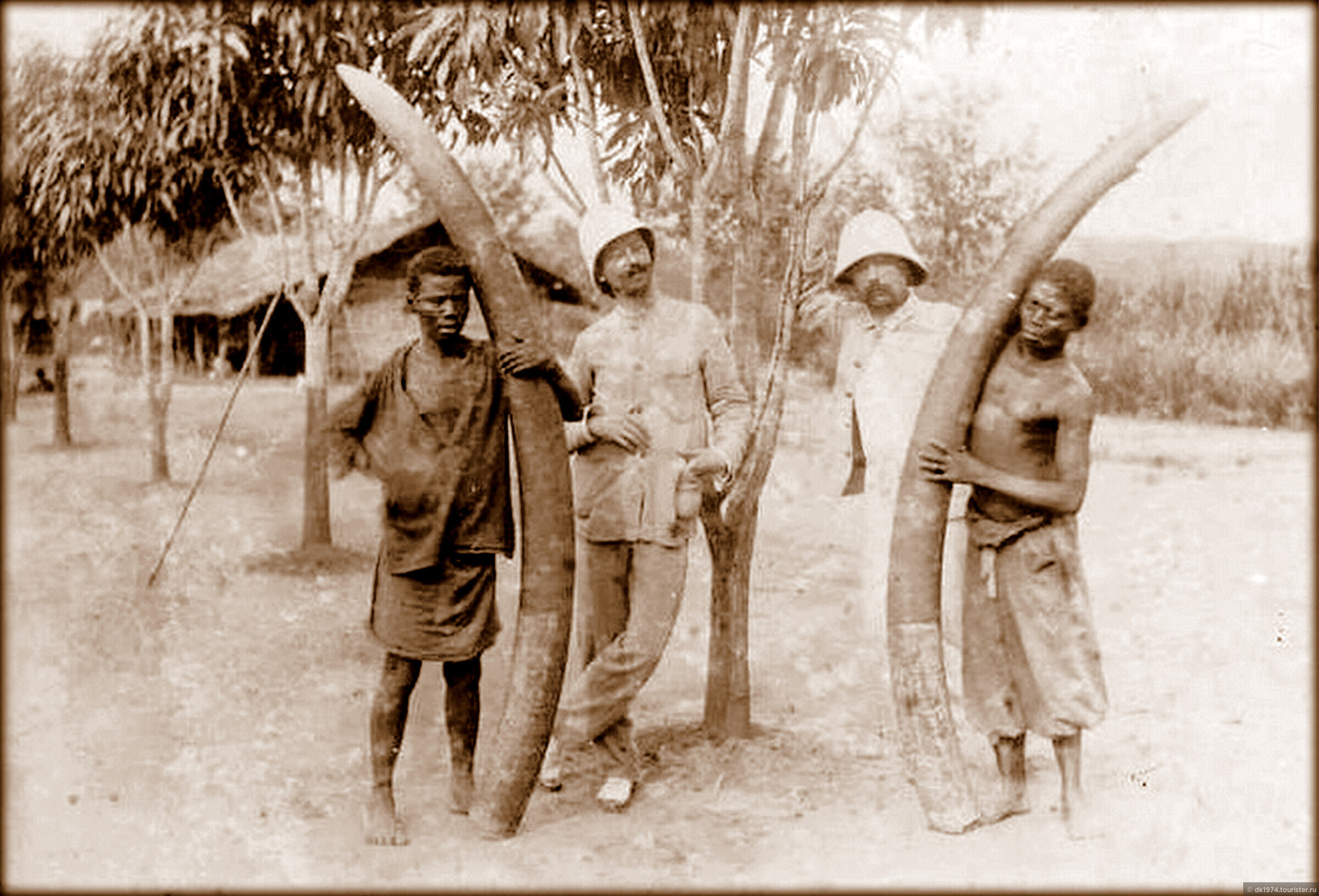 Конго холокост. Африка 19 века колониальная. Колонизация Африки в 19 веке. Конго 19 век отрубленные руки. Колонизаторы в Африке 19 век.