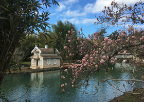 Парк Южные культуры –весна, солнце и цветы