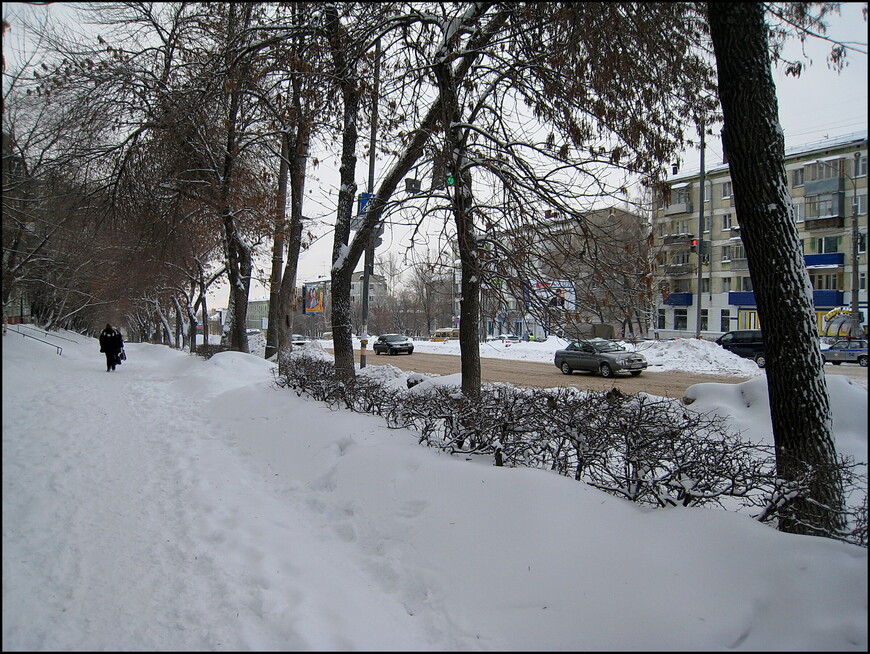 Самарская городская легенда. Окаменевшая Зоя 