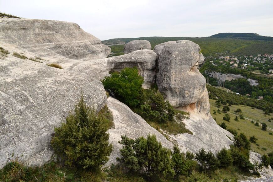 Растительность на Бахчисарайских сфинксах в Крыму
