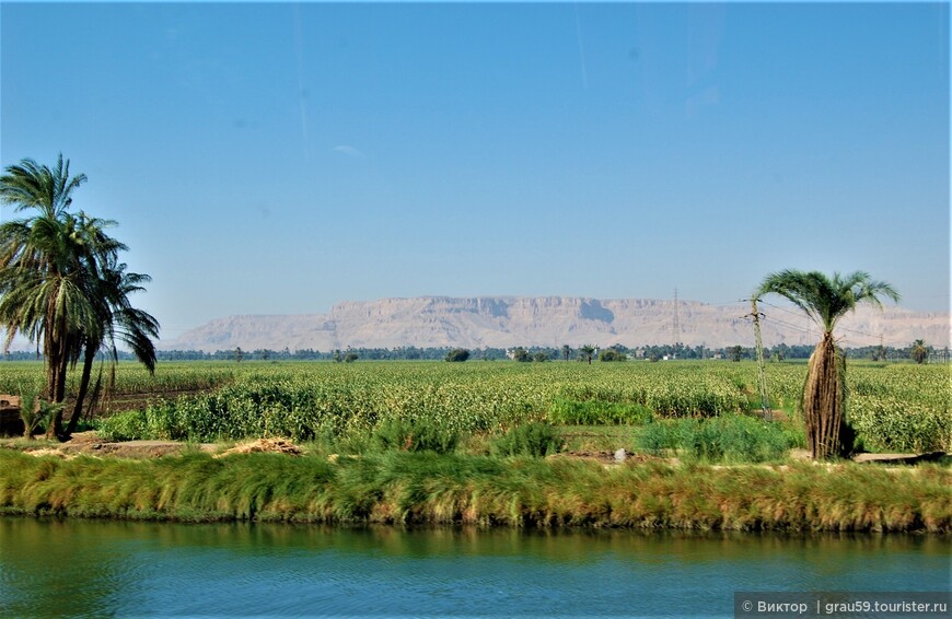 Поездка от Хургады до Луксора и обратно