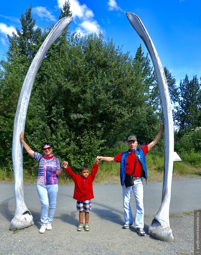 Ребра гигантского кита - ворота Аляски!