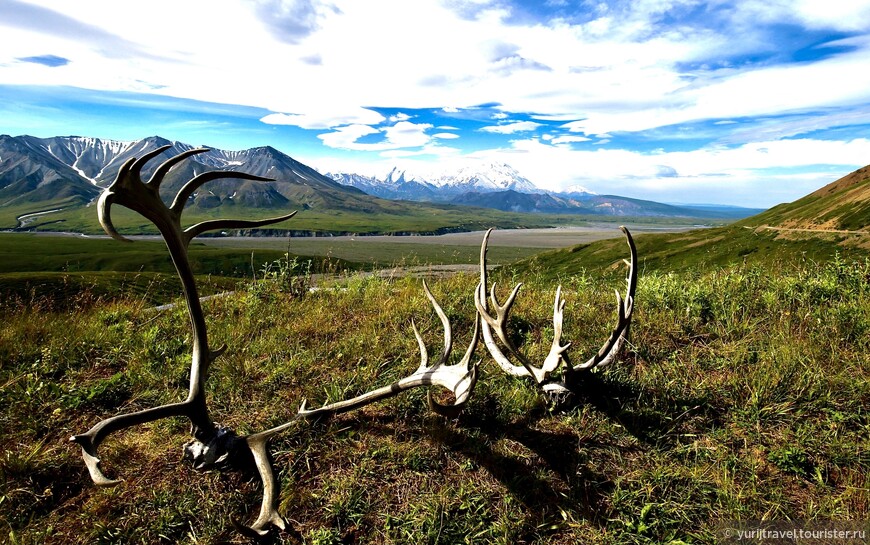 Аляска. ч. 10. Красоты Национального Парка Денали