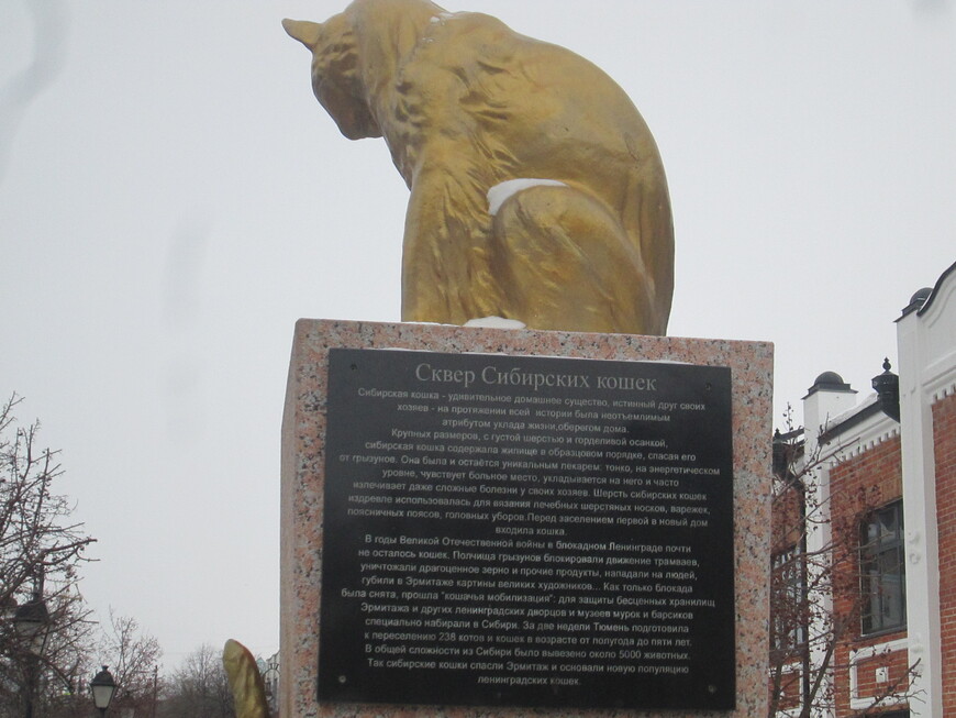 Сибирские коты — символ города и герои борьбы с мышами в Ленинграде 1944 года