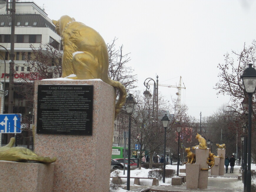 Сибирские коты — символ города и герои борьбы с мышами в Ленинграде 1944 года