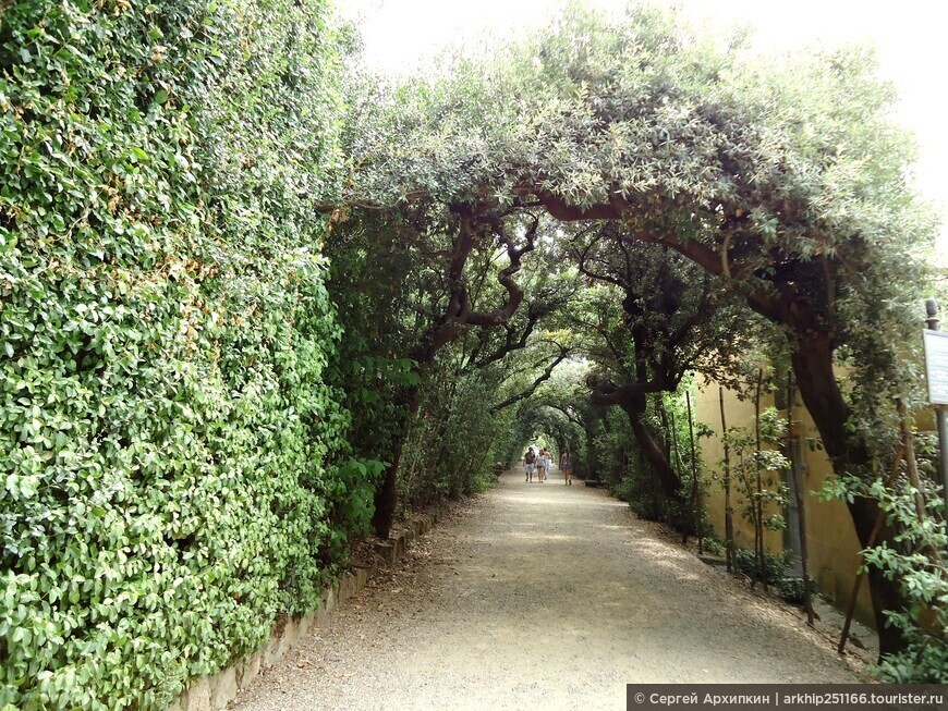 Сады Боболи при дворце Питти во Флоренции — один из лучших парковых ансамблей Ренессанса 16-17 века