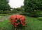 Ботанический сад Джорджтауна